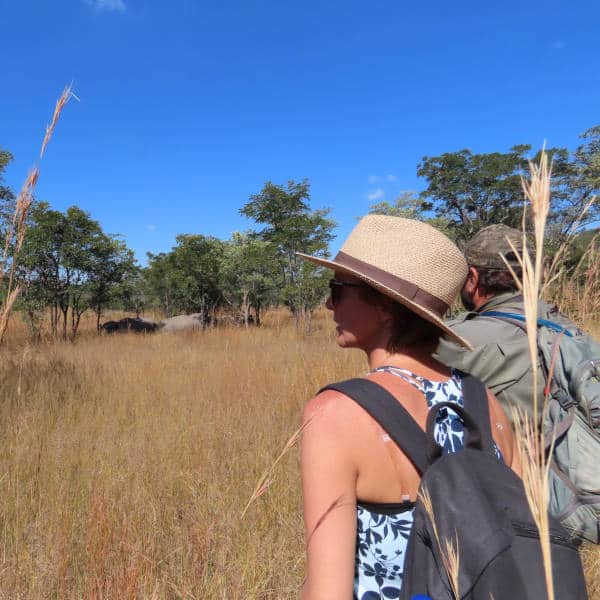 Walking Safaris