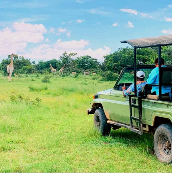 Game Drives