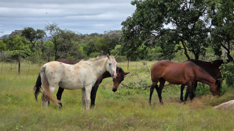 Riding In Matobo Hills